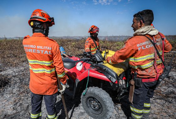 Bombeiros divulga resultado preliminar dos brigadistas