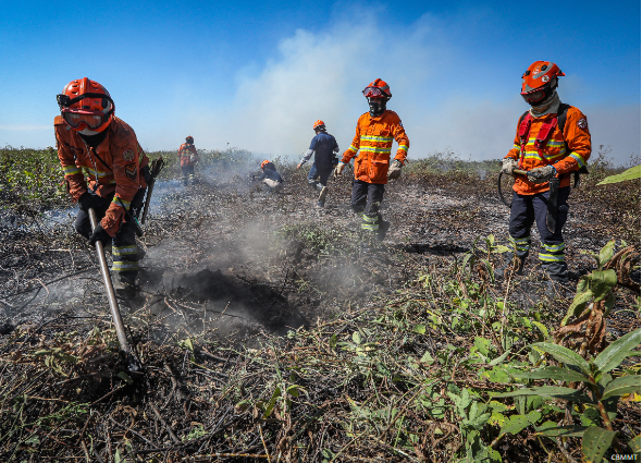 Bombeiros convoca aprovados no seletivo para brigadistas