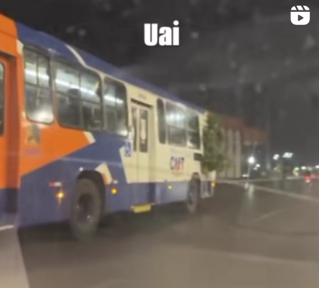 Ônibus é visto com galho de árvore; Vídeo