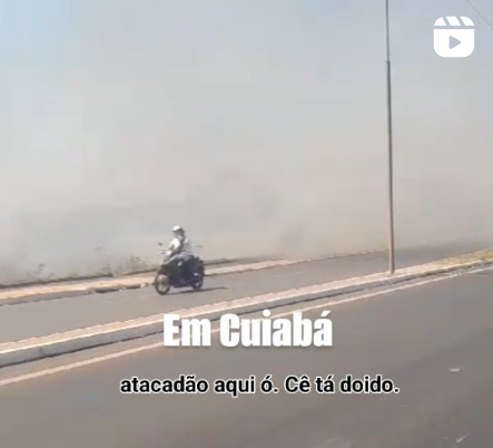 Fogo na estrada do Moinho assusta moradores; Vídeo