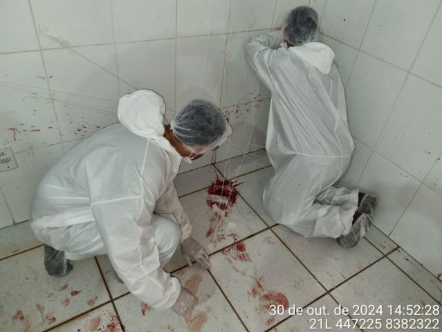 Peritos criminais são treinados em analisar cenas com sangue